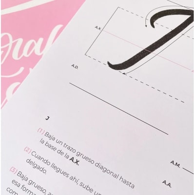 Libro Caligrafía Con brush Pen - Pamebrí