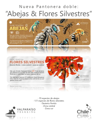 PANTONERA ABEJAS  Y FLORES SILVESTRES2