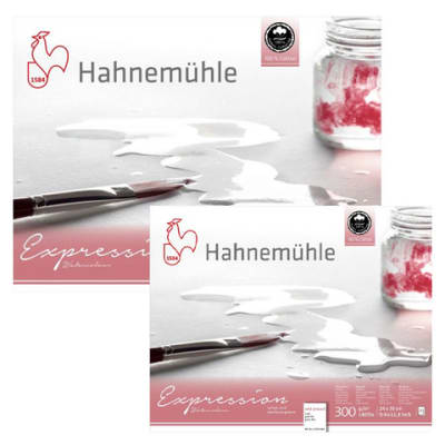 BLOCK HAHNEMÜHLE Acuarela Expression 100% Algodón - Variedad de Tamaños