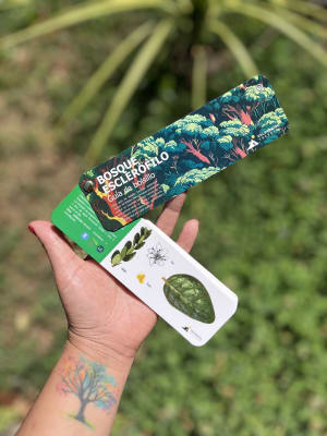 PANTONERA Bosque Esclerófilo