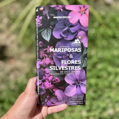 GUÍA DE BOLSILLO - Mariposa y Flores Silvestres