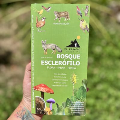 GUÍA DE BOLSILLO - Bosque Esclerófilo