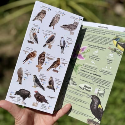 GUÍA DE BOLSILLO - Humedales