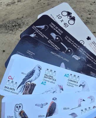 PANTONERA AVES DE CHILE