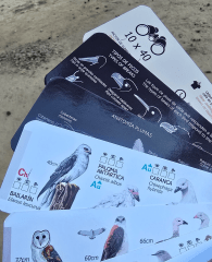 PANTONERA AVES DE CHILE