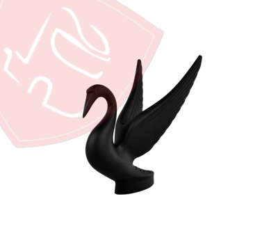 CISNE NEGRO PARA CAPOT