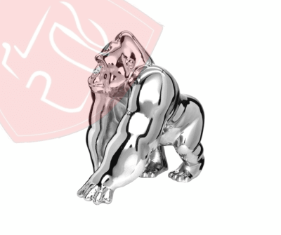 GORILA CROMADO PARA CAPOT