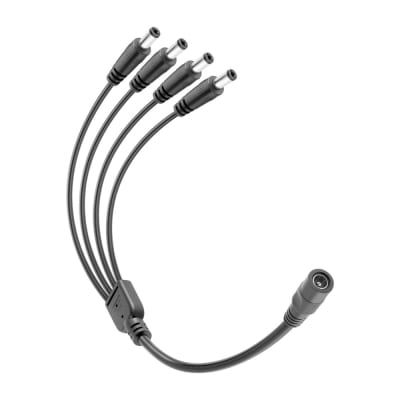 Pulpo 1 Dc Hembra a 4 Dc Macho