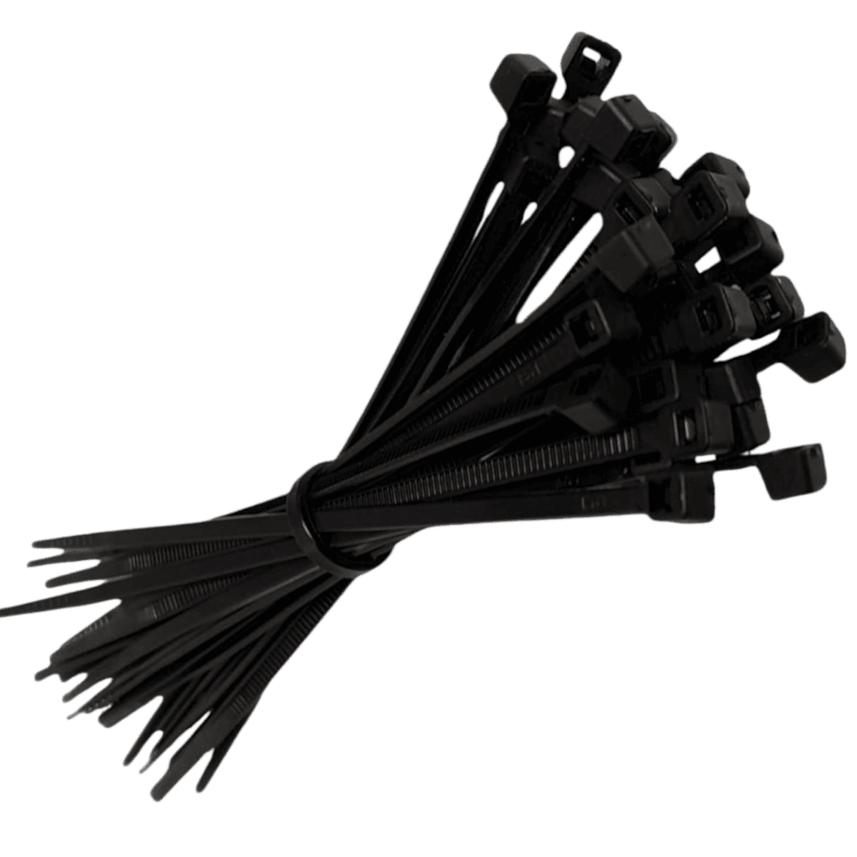 Amarra Plástica Negra 15 CM x 5 MM4