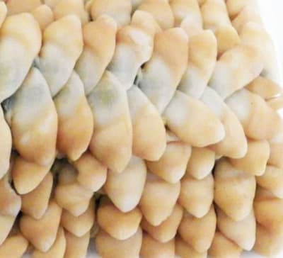 Navajuela Congeladas 1 kg