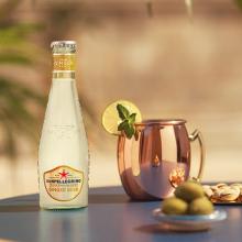 Mixer Ginger Beer