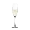 Copa Champagne Salute Flauta1