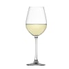 Copa Vino Blanco Salute1
