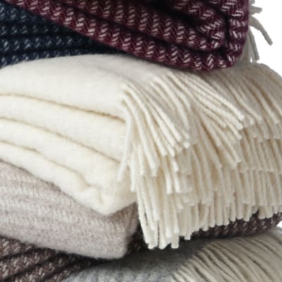 Ralph - Blanco Hueso