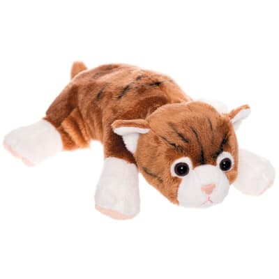 Gatos Cachorrito2