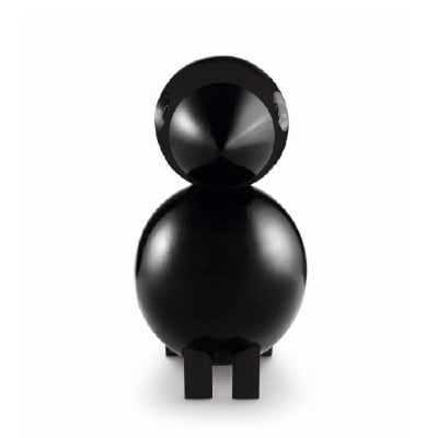 Pajaro cantor - Ravn Grande