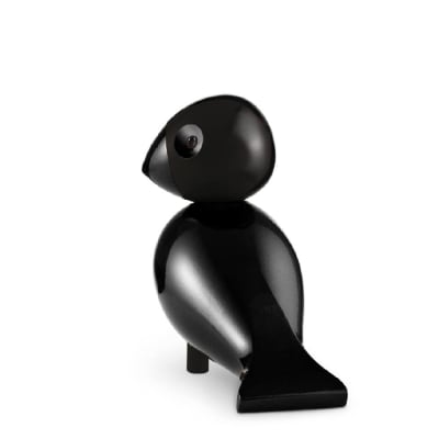 Pajaro cantor - Ravn