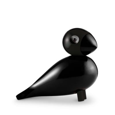 Pajaro cantor - Ravn