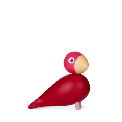 Pajaro cantor - Flora - Año 2024