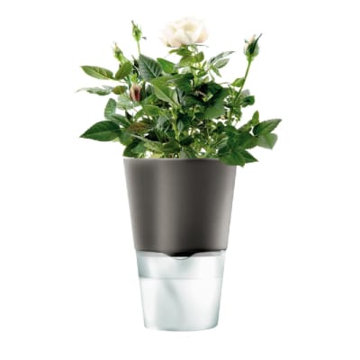 Macetero Auto Riego -11cm - Gris Oscuro