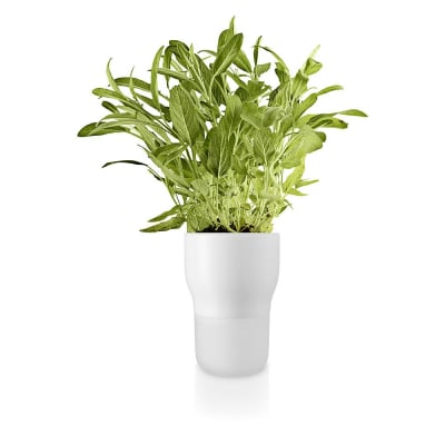 Macetero Autoregante Pot - 11 cm - Blanco1