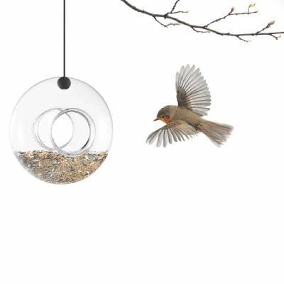 Alimentador de Aves