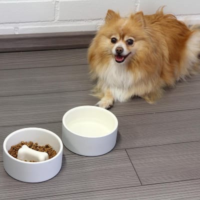 Plato para Comida de Mascotas - Mediano Concreto 