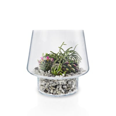 Macetero de Cristal para Suculenta Grande