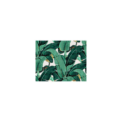 Mural IXXI - Banana Leaf Hinson - Pequeño1