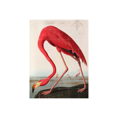 Mural IXXI Flamingo Auduban Large1