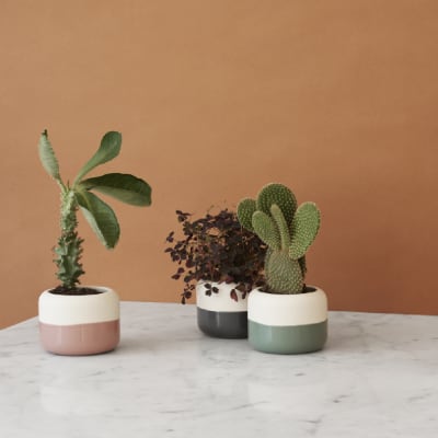 Macetero PLANT-IT - Rosa