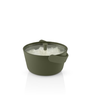 Olla Arrocera Green tool - Cactus1