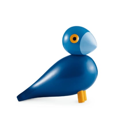 Pajaro cantor - Kay
