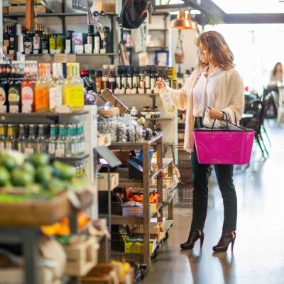 Inserto para Bolso Hinza - Grande