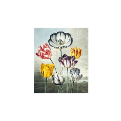 Mural IXXI Tulips1