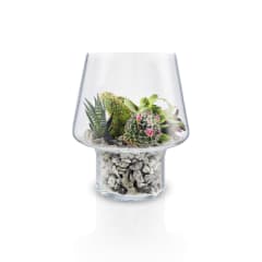 Macetero de Cristal para Suculenta