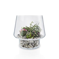 Macetero de Cristal para Suculenta Grande