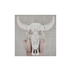 Mural IXXI - Bohemian Skull Lace - Grande 