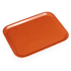 Bandeja Rectangular - Naranja