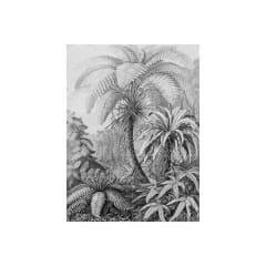 Mural IXXI Ferns - Large