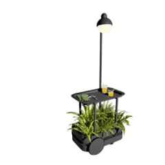 Carrito Fatboy Bar Jolly Trolley - Anthracite