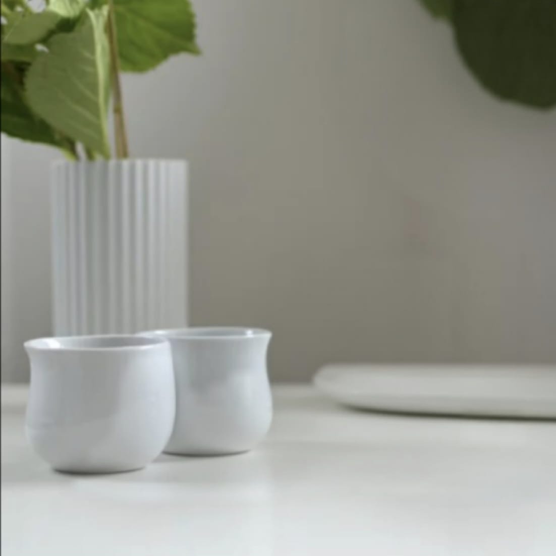 COBRA - Vasos de Porcelana.2