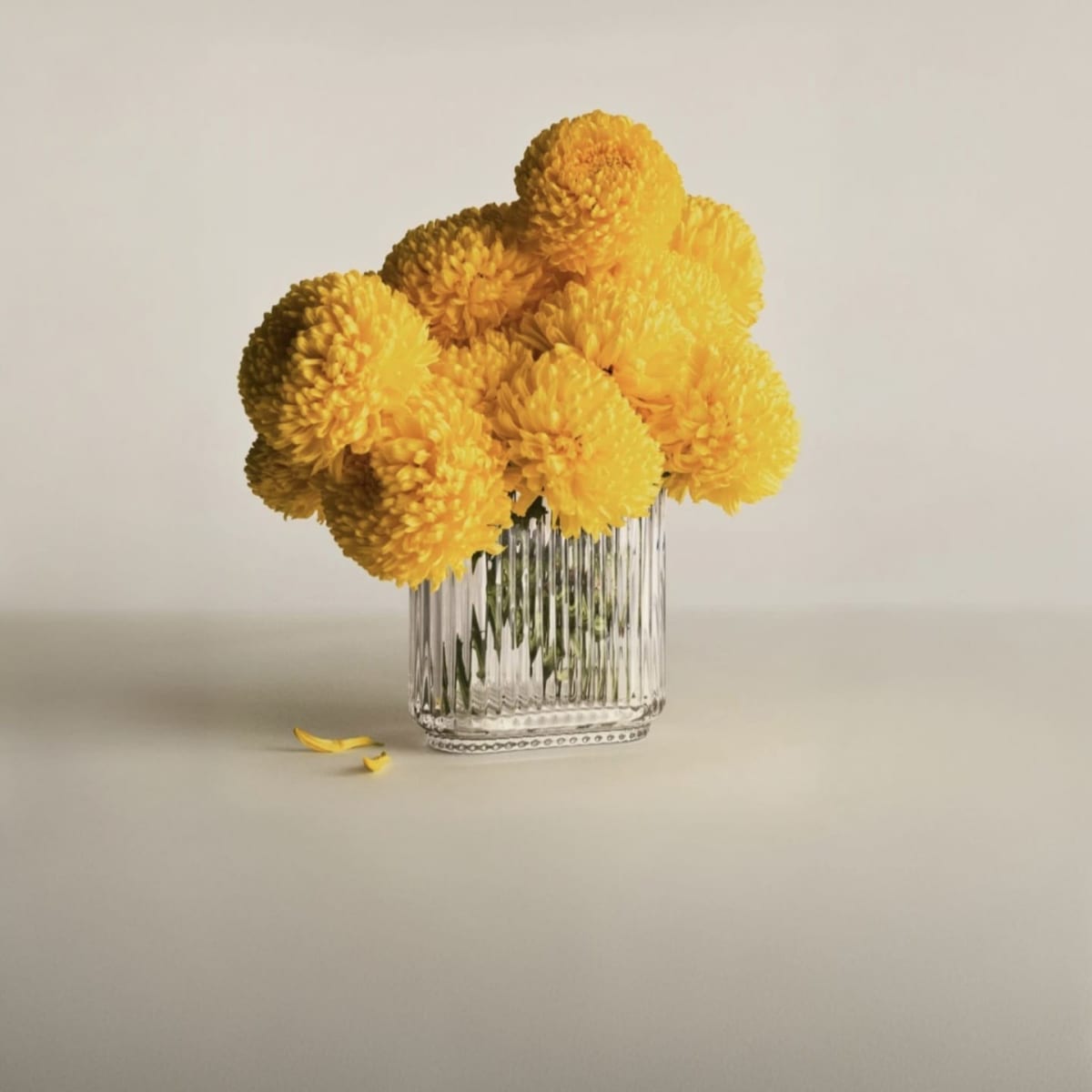 BERNADOTTE - Florero Oval1