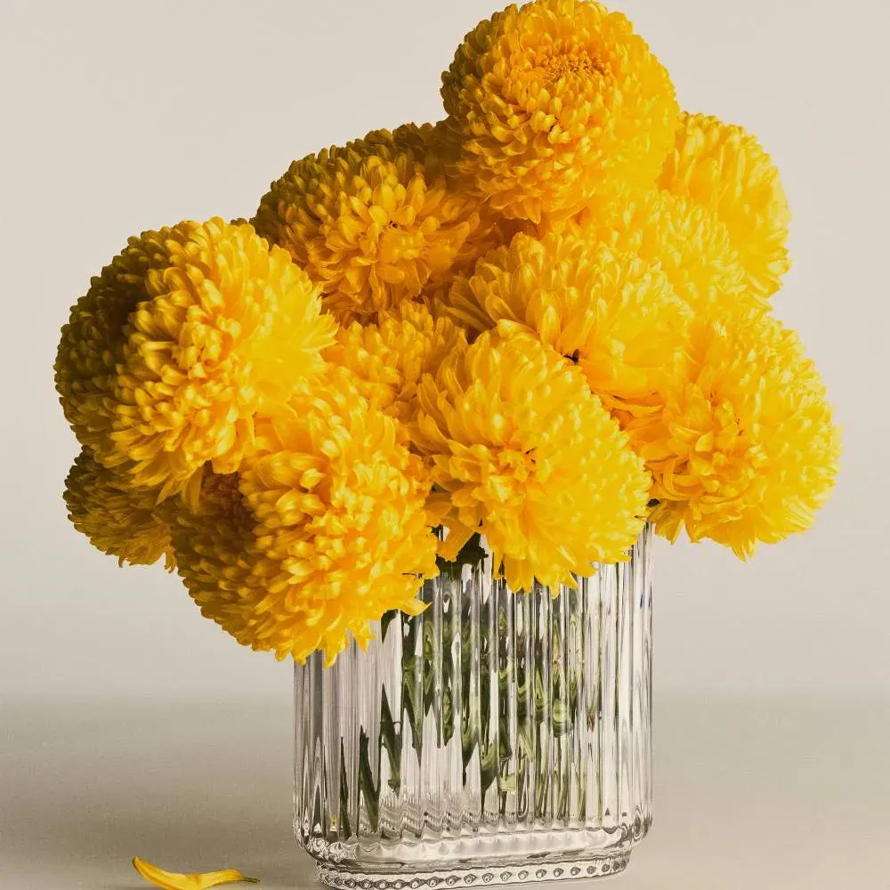 BERNADOTTE - Florero Oval1