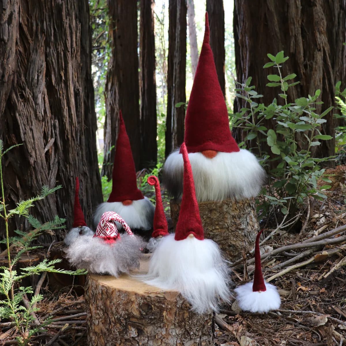 Tomte Pequeño3