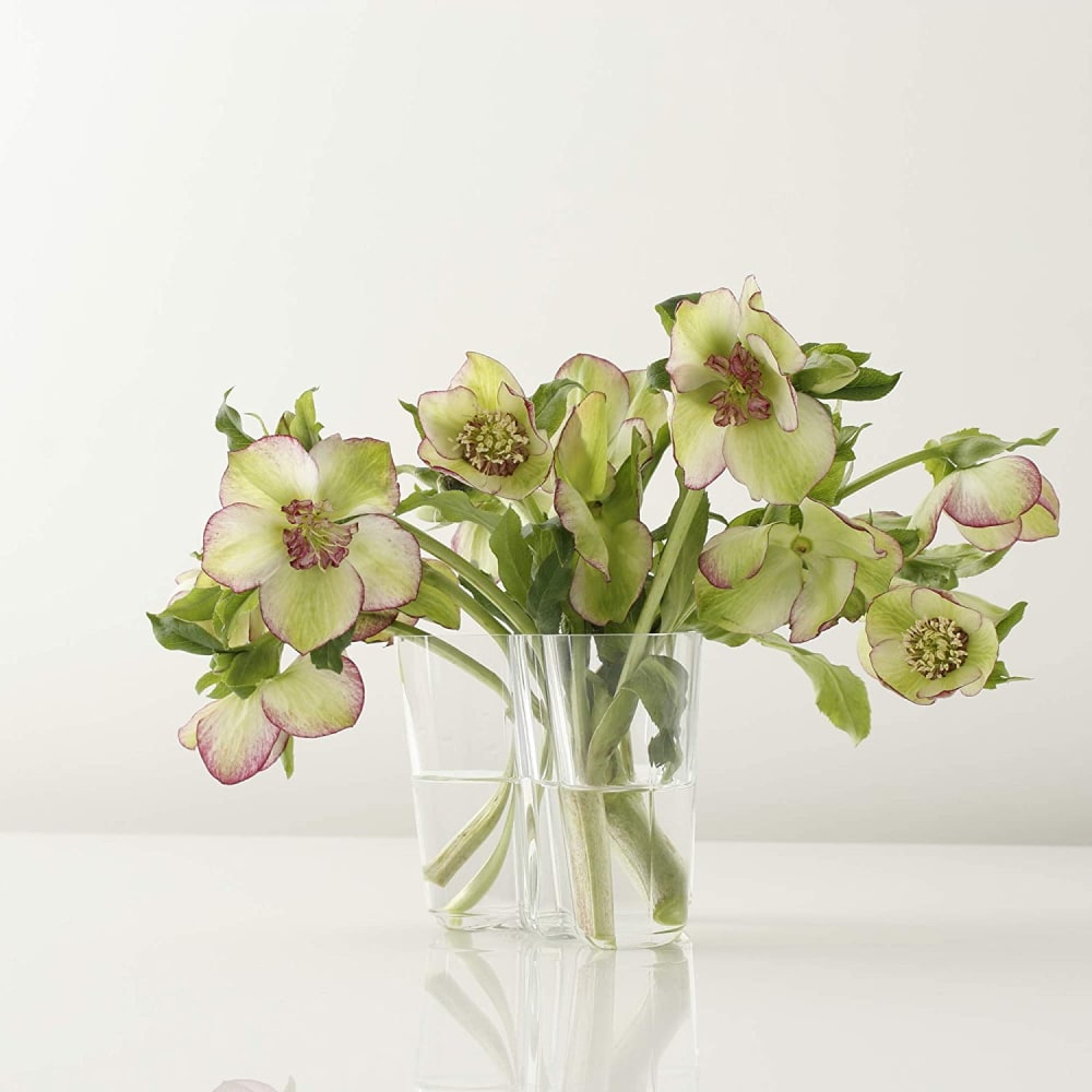 Florero Alvar Aalto - 095mm - Transparente1
