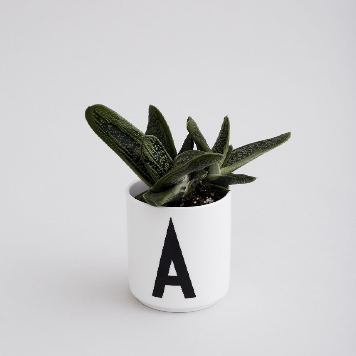 Taza de porcelana Blanca28