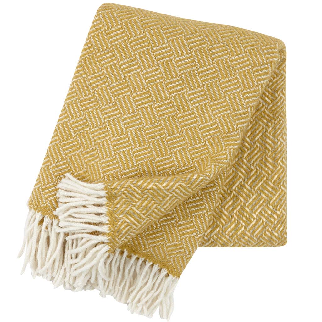 Samba - Amarillo1