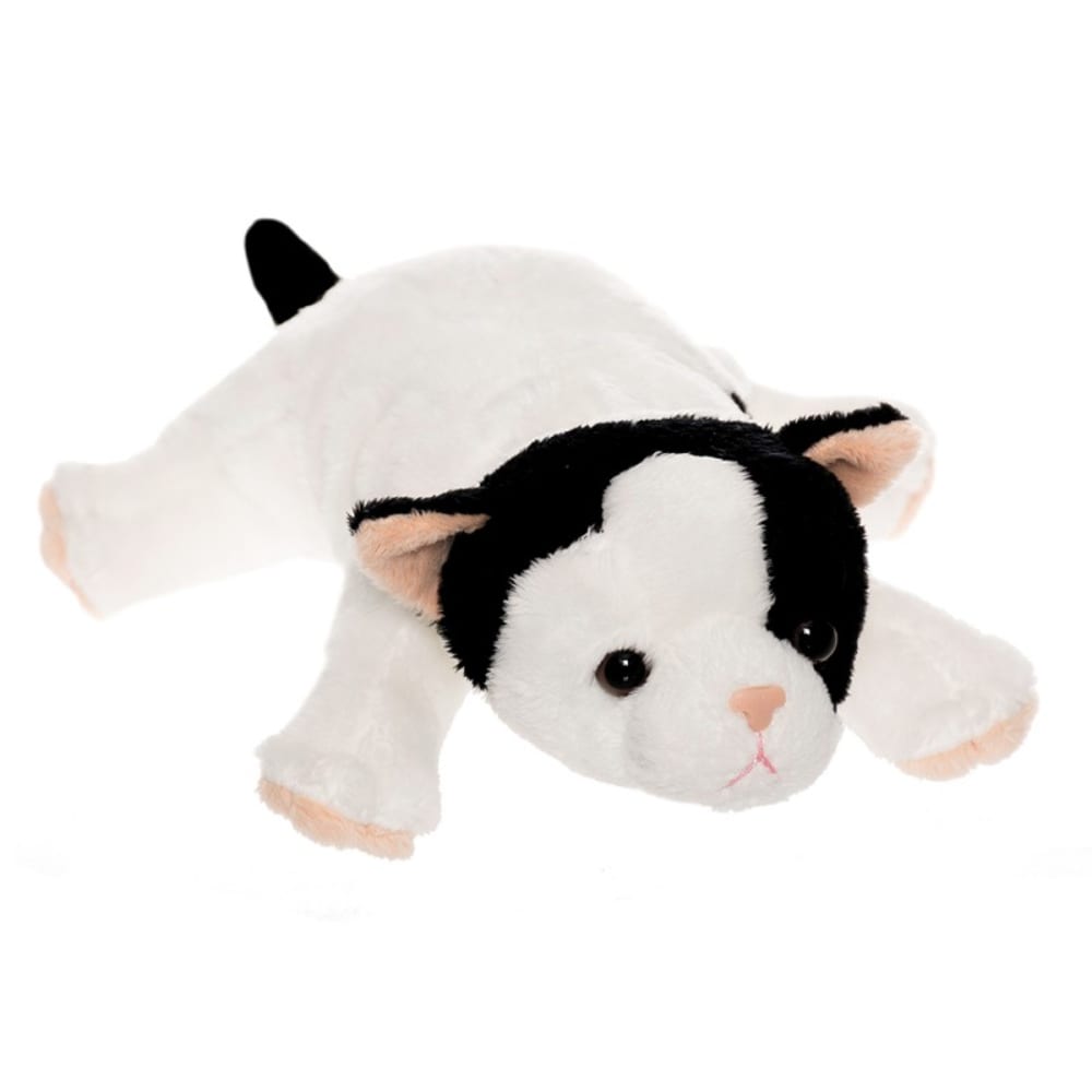 Gatos Cachorrito3
