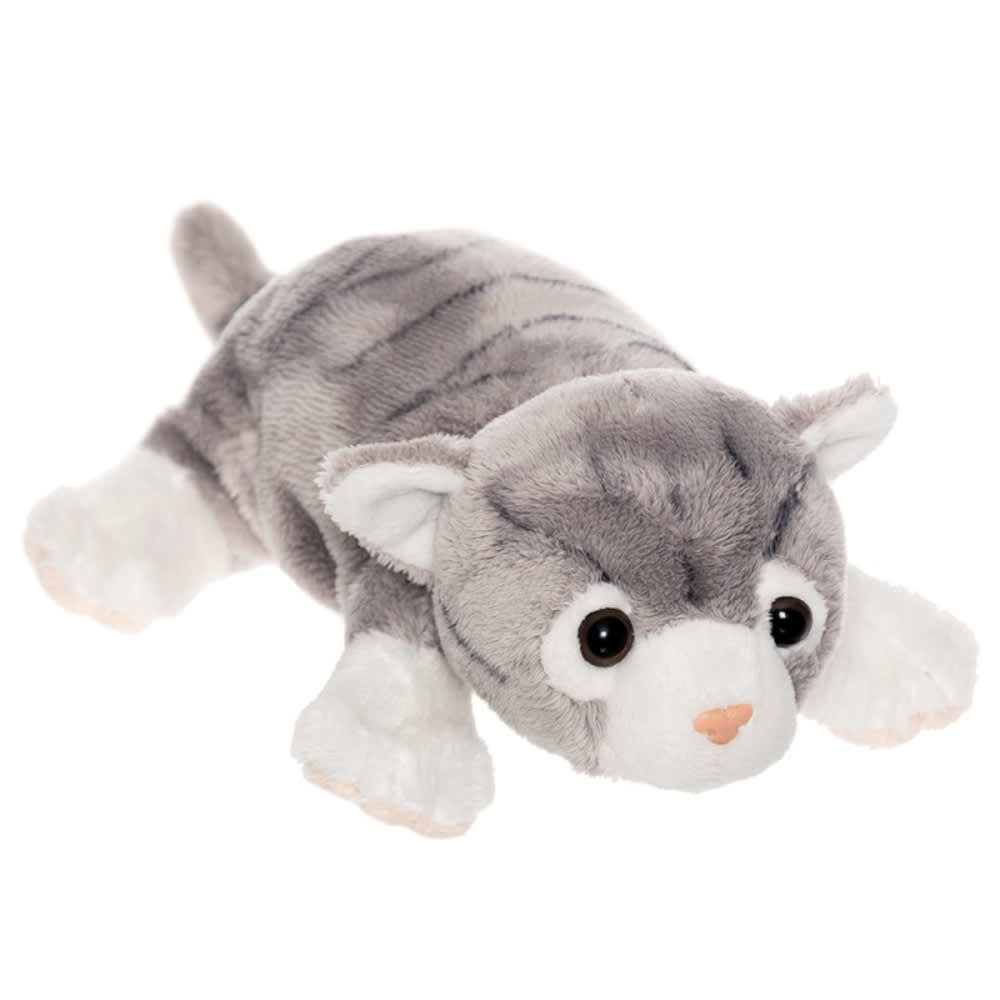 Gatos Cachorrito1